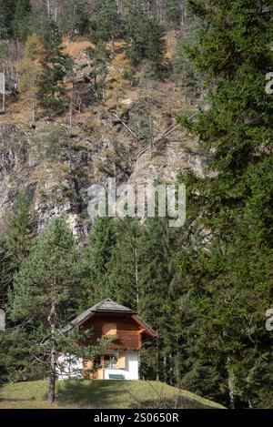 Kleine Holzhütte eingebettet in eine ruhige Waldlichtung, umgeben von üppigem Grün und hohen Bergen, schaffen einen ruhigen und idyllischen Rückzugsort Stockfoto