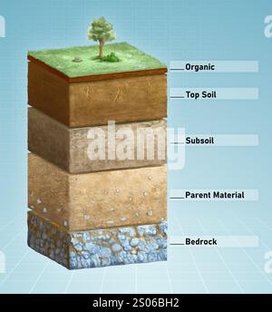 Diagramm der Bodenschichten. Digitale Illustration, 3D-Rendering. Stockfoto