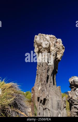 Ein großer Baumstumpf mit ein paar Löchern. Der Himmel ist blau und klar. Der Stumpf ist von Gras umgeben Stockfoto
