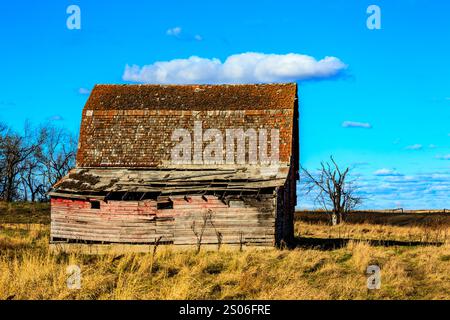 Eine rote Scheune mit schrägem Dach sitzt auf einem Feld. Die Scheune ist alt und hat ein verwittertes Aussehen. Der Himmel ist klar und blau, und es gibt keine Wolken darin Stockfoto