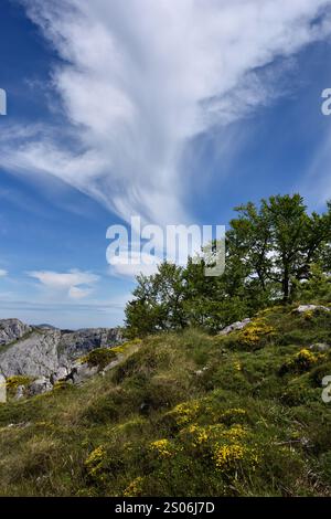 Wanderung auf Pena Main im Nationalpark Picos de Europa, Spanien Stockfoto