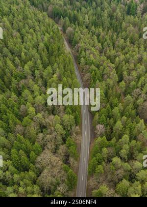Die Vogelperspektive zeigt eine lange, gewundene Straße durch einen dichten, grünen Wald, abgelegen von der Zivilisation, Agenbach, Schwarzwald, Deutschland, Europa Stockfoto