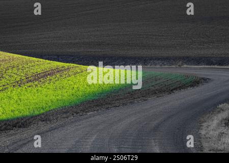 Die Straße führt durch die Weizenanbauregion Palouse im US-Bundesstaat Washington Stockfoto