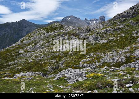 Wanderung auf Pena Main im Nationalpark Picos de Europa, Spanien Stockfoto