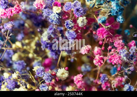 Aus nächster Nähe sehen Sie lebendige getrocknete Blumen in verschiedenen Farben wie Lila, Rosa und Blau. Diese Blumen sind mit Bedacht angeordnet und schaffen ein A Stockfoto