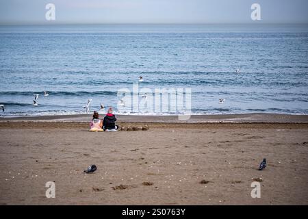 Ein Paar sitzt am Strand und beobachtet das Meer. Es fliegen mehrere Vögel am Himmel Stockfoto