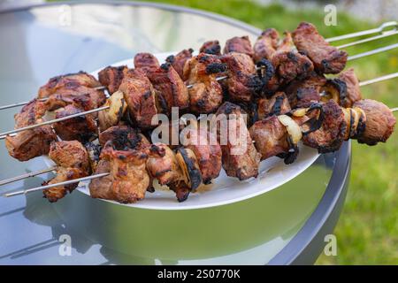 Saftige gegrillte Fleischspieße mit Zwiebeln auf einem Teller serviert, frisch auf offener Flamme für ein Barbecue im Freien zubereitet. Picknick und Gartenparty im Sommer Stockfoto