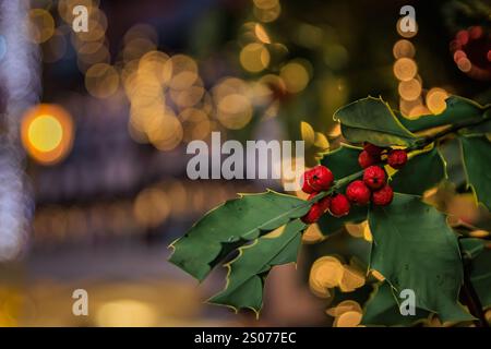 Nahaufnahme eines stechpalmenzweigs mit roten Beeren vor verschwommenen festlichen Lichtern auf dem Weihnachtsmarkt in Colmar, der Seele von Weihnachten, Frankreich Stockfoto