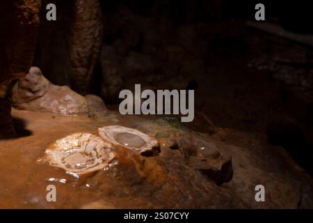 Luray, Virginia, USA. Dezember 2024. Die „Fried Eggs“-Felsformation in den Luray Caverns im Westen von Luray, Virginia, USA am 25. Dezember 2024. Luray Caverns hat seit ihrer Entdeckung im Jahr 1878 viele Besucher angezogen. Quelle: Aashish Kiphayet/Alamy Live News Stockfoto