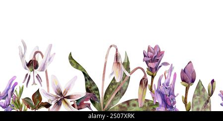 Frühlingsblumen, weiße Erythronium-Forellenlilie, malve Magnolie camelia Knospe, lila corydalis-Wicke Orchidee, handgezeichnet in Aquarellen. Nahtloses Banner Stockfoto