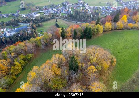 Drohne aus der Vogelperspektive eines farbenfrohen Herbstwaldes mit Blick auf ein kleines Dorf in einem nebeligen Tal, Kranjska gora Tal Slowenien Stockfoto