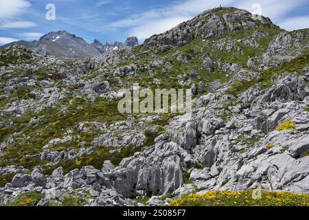 Wanderung auf Pena Main im Nationalpark Picos de Europa, Spanien Stockfoto