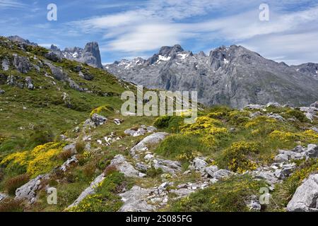 Wanderung auf Pena Main im Nationalpark Picos de Europa, Spanien Stockfoto