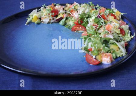 Frischer Lachs, saftige Tomaten und knuspriges Gemüse werden mit einem leichten Dressing kombiniert, um einen lebendigen und gesunden Salat zu kreieren, der auf einem stilvollen blauen pla angeordnet ist Stockfoto