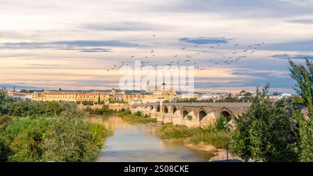 Blick auf Mezquita, Catedral de Cordoba, über die römische Brücke auf dem Fluss Guadalquivir. Eine ehemalige maurische Moschee, die heute die Kathedrale von Cordoba ist. Co Stockfoto