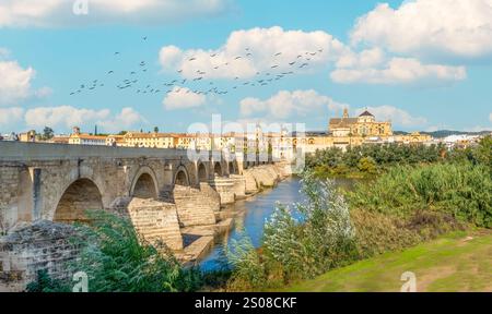 Blick auf Mezquita, Catedral de Cordoba, über die römische Brücke auf dem Fluss Guadalquivir. Eine ehemalige maurische Moschee, die heute die Kathedrale von Cordoba ist. Co Stockfoto