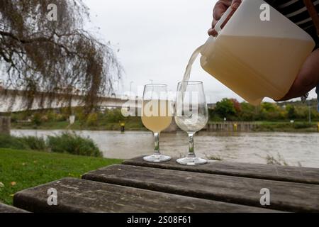 Herbstweinfestival in Schengen, Luxemburg, am Moseltal, Verkostung von Federweisser Jungwein, neuer wein fermentiertes frisch gepresstes Auxerro Stockfoto