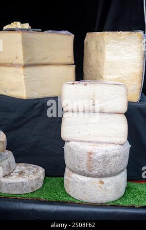 Verkostung verschiedener Hartkäsesorten im italienischen Käsebetrieb, Verkostung von Würfeln an Bord Stockfoto