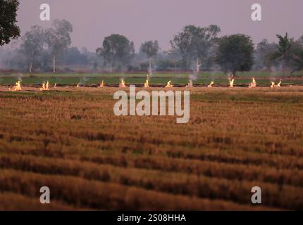 Nakhon Sawan, Thailand. Dezember 2024. Feuer und Rauch über einem Reisfeld in der Provinz Nakhon Sawan nördlich von Bangkok. Quelle: SOPA Images Limited/Alamy Live News Stockfoto