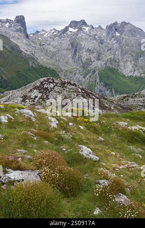 Wanderung auf Pena Main im Nationalpark Picos de Europa, Spanien Stockfoto