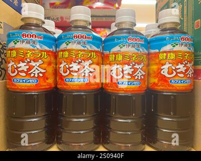 Ito en Gerste mugi Tee in Japan Stockfoto