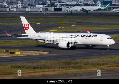 Japan – Tokio, 21. November 2024: Alle Nippon Airways (ANA Future Promise Livery) A350 in Japan Stockfoto