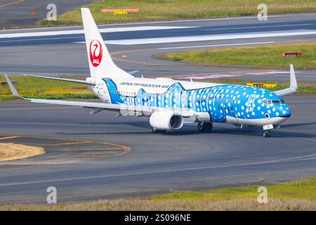 Japan – Tokio, 21. November 2024: Japan Transocean Air mit Jinbei Jet Boeing 737-800 in Japan Stockfoto