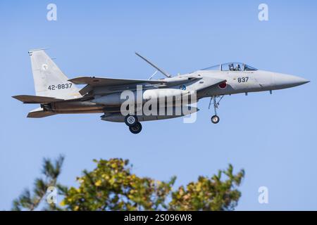 Japan, 14. November 2024: McDonnell Douglas F-15J Eagle auf der Komatsu Air Base in Japan Stockfoto