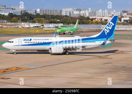 Japan - Fukuoka Airport, 21. November 2024: ANA 737 in Fukuoka Airport, Japan Stockfoto