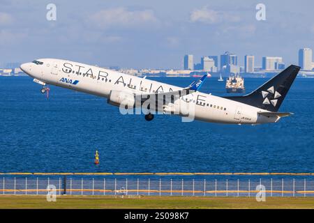 Japan – Tokio, 21. November 2024: ANA B737 Star Alliance in Japan Stockfoto