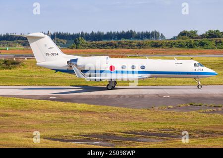 Gulfstream U-4 Japan - Air Self Defence Force (JASDF) auf der Luftwaffenbasis Iruma in Japan Stockfoto