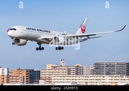 Japan – Tokio, 21. November 2024: Alle Nippon Airways (ANA Future Promise Livery) A350 in Japan Stockfoto