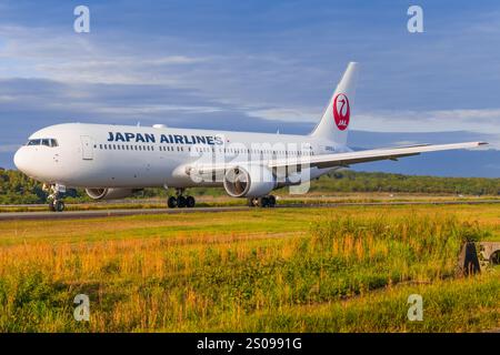 Japan – Tokio, 21. November 2024: JAL Japan Airlines (Tokyo DisneySea Livery) B767 in Japan Stockfoto