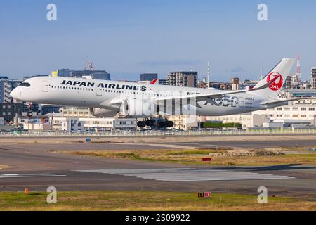 Japan – Tokio, 21. November 2024: Alle Nippon Airways (ANA Future Promise Livery) A350 in Japan Stockfoto