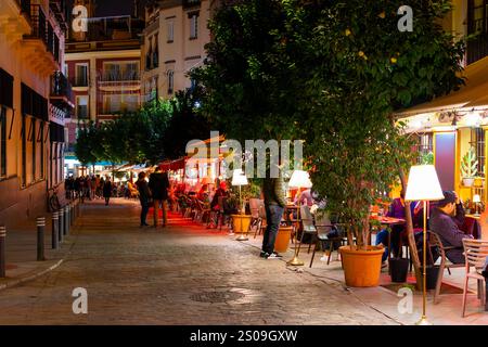 Abends können Sie in den beleuchteten Straßencafés im touristischen Viertel Barrio Santa Cruz der andalusischen Stadt Sevilla, Spanien, speisen. Stockfoto