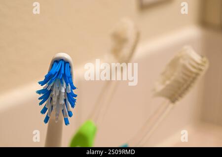 Makronaht abgenutzter Zahnbürsten im Badezimmer. Stockfoto