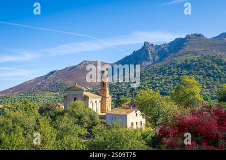 Die Barockkirche St. Nicolas in Feliceto, Gemeinde im Departement Haute-Corse, Insel Korsika, Frankreich. Stockfoto