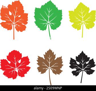 Vektorblatt, Kaktus, Rose, Gänseblümchenzeichnungen Stock Vektor