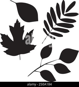 Vektorblatt, Kaktus, Rose, Gänseblümchenzeichnungen Stock Vektor