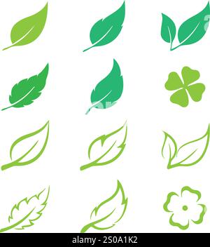 Vektorblatt, Kaktus, Rose, Gänseblümchenzeichnungen Stock Vektor