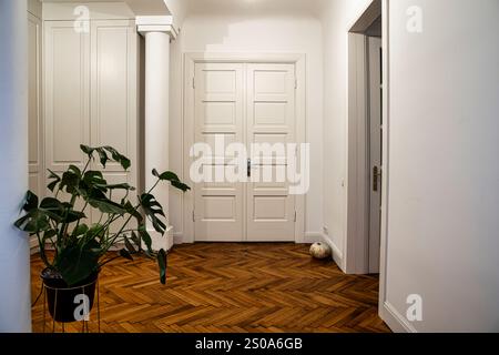 Der Flur verfügt über weiße Doppeltüren, Fischgrätfußboden, eine Topfpflanze und eine an der Wand integrierte Säule unter gedämpfter Beleuchtung. Stockfoto