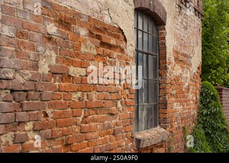 Verwitterte rote Backsteinmauer eines alten Gebäudes mit einem rustikalen Fensterrahmen und abblätternden Putzflächen, umgeben von kriechenden grünen Weinstöcken und Laub Stockfoto