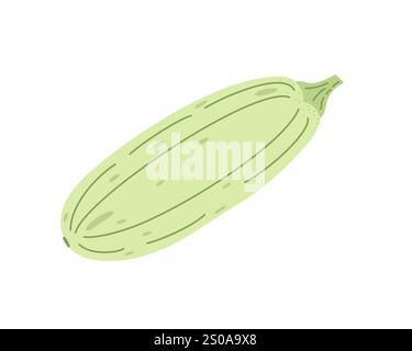 Zucchini frisches Gemüse Hand gezeichnet einfache Doodle Illustration, gesunde Lebensstil Bio Diät, Lebensmittelkonzept, ganze Kürbis Pflanze flache Stil Bild für Stock Vektor