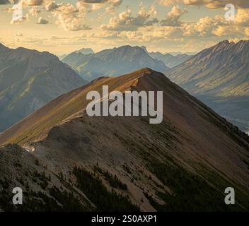 Ausblicke beim Wandern auf dem Tent Ridge im Kananaskis Country von Alberta Stockfoto