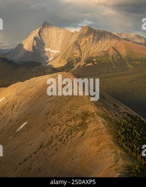 Ausblicke beim Wandern auf dem Tent Ridge im Kananaskis Country von Alberta Stockfoto