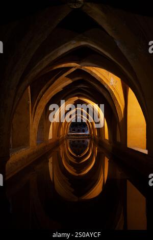 Los Baños de Doña María de Padilla, eine unterirdische gotische Zisterne am Königlichen Alcázar von Sevilla, Spanien. Stockfoto