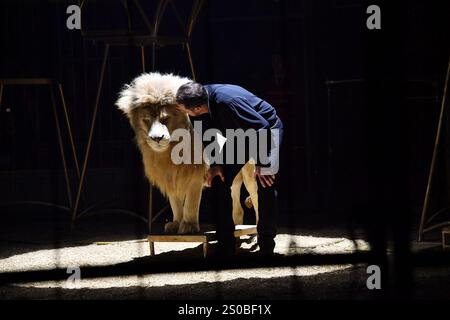 Martin Lacey jr. mit einem weissen Loewen in der Manege bei der Circus Krone Weihnachts Premiere vom Winterprogramm „Freestyle“ am 25.12.2024 in Muenc Stockfoto
