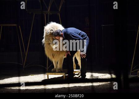 Martin Lacey jr. mit einem weissen Loewen in der Manege bei der Circus Krone Weihnachts Premiere vom Winterprogramm „Freestyle“ am 25.12.2024 in Muenc Stockfoto