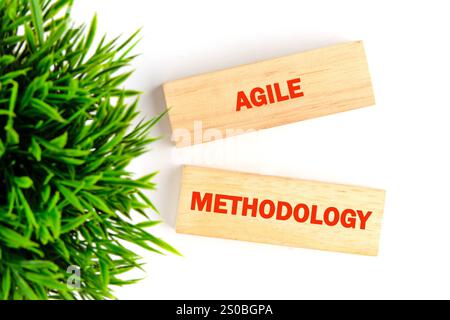 Holzblöcke mit den Begriffen Agile und Methodologie befinden sich neben einer kleinen grünen Anlage und veranschaulichen die Prinzipien flexibler Projektmappen Stockfoto