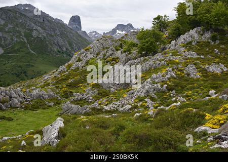 Wanderung auf Pena Main im Nationalpark Picos de Europa, Spanien Stockfoto